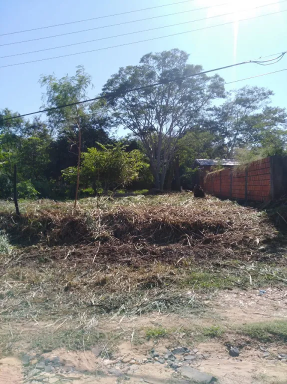 VENDO TERRENO EN MARIANO R. ALONSO!! — foto 3