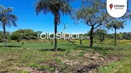VENDO TERRENO EN SAN BERNARDINO, EXCELENTE INVERSION!! — foto 2