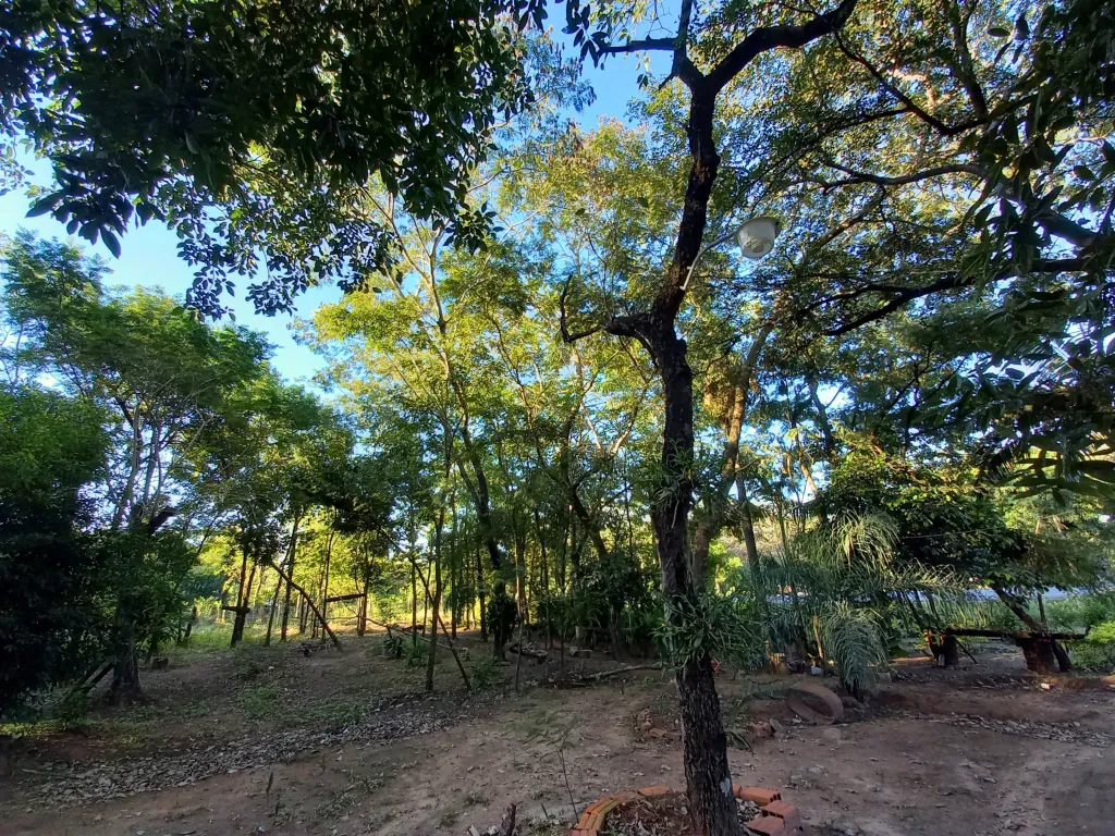 Vendo terreno con casa ideal para Casa Quinta — foto 3