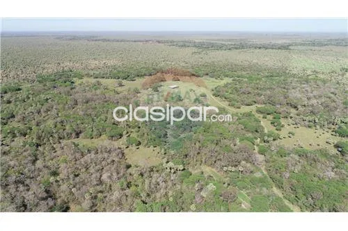 Estancia de 2896Ha. a 40min de Asunción — foto 2