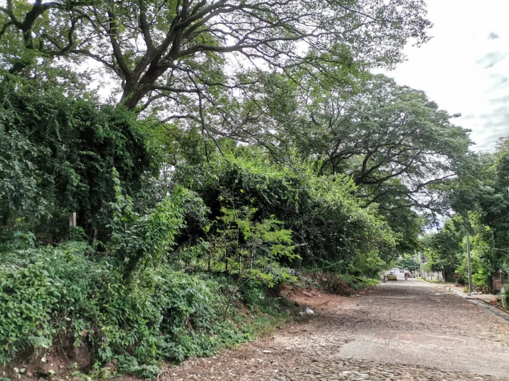 VENDO PROPIEDAD DE 706,2 M2‼️ COD 0242 📍Areguá — foto 2