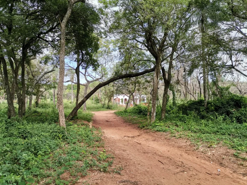 VENDO PROPIEDAD DE 706,2 M2‼️ COD 0242 📍Areguá — foto 3