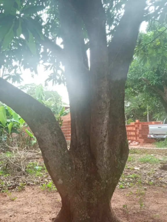 VENDO TERRENO CON VIVIENDA HABITABLE EN J.AUGUSTO SALDIVAR. J4166. — foto 2