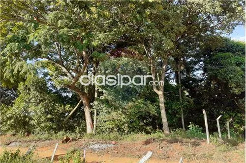 EN VENTA TERRENO EN ISLA ARANDA A 2 CUADRAS DE AVDA. SAN JOSE — foto 2