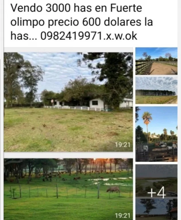 TİTULADO — foto 2
