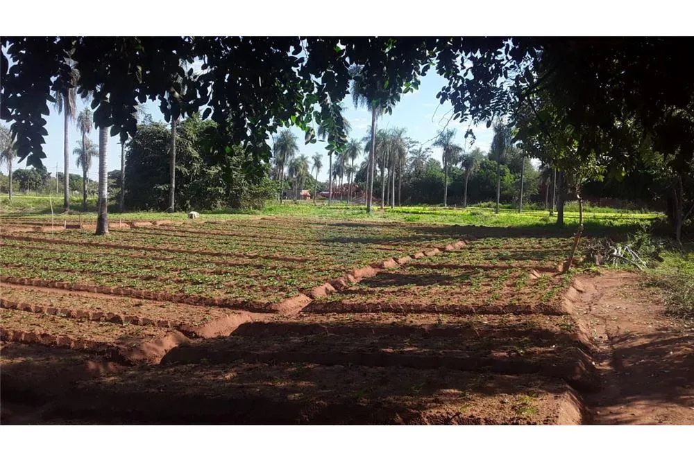 VENDO AMPLIO TERRENO EN CAPIATA 475,000,000 ₲ — foto 2