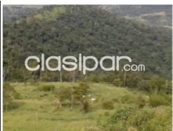TİTULADO — foto 2