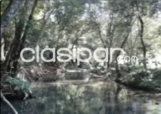 TİTULADO — foto 3
