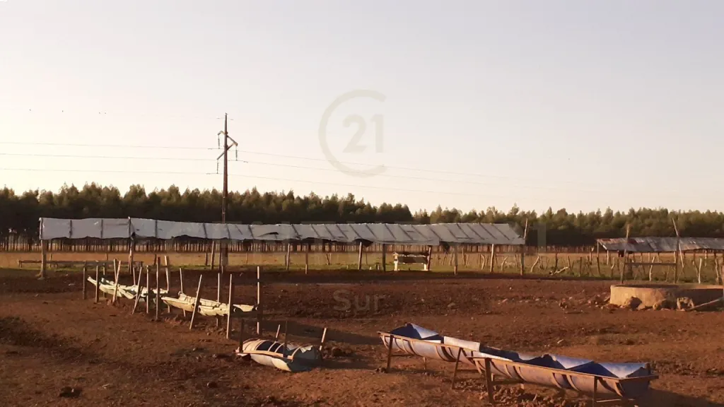 EN VENTA ESTANCIA EN SAN PEDRO DEL PARANA, ITAPUA — foto 3