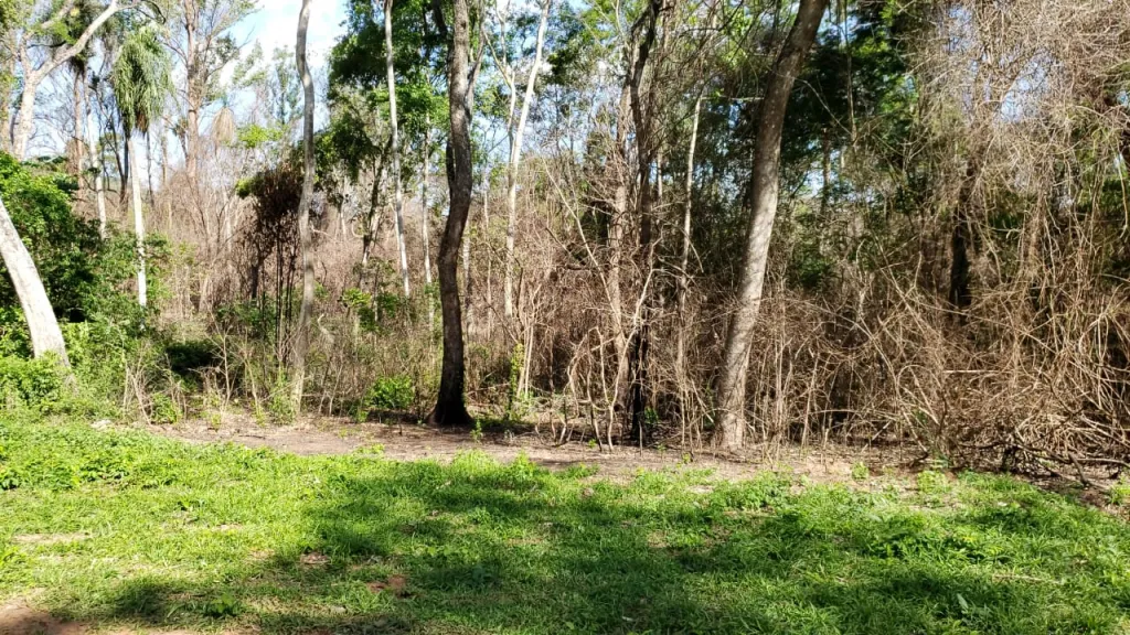 Terreno en Venta en San Bernardino — foto 3