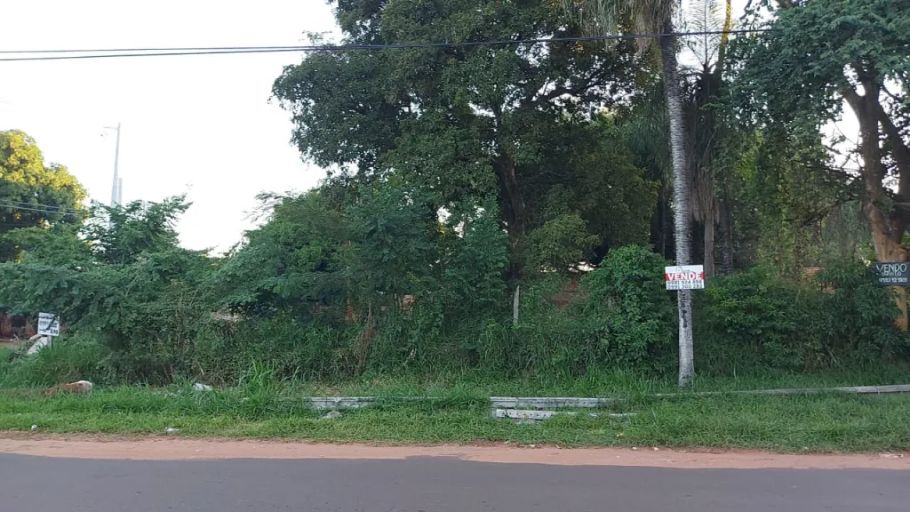 TERRENO EN CAPIATA — foto 2