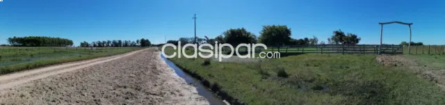 Estancia formada a 37km de Pilar y 180 de Asunción- 1.331Hectareas — foto 3