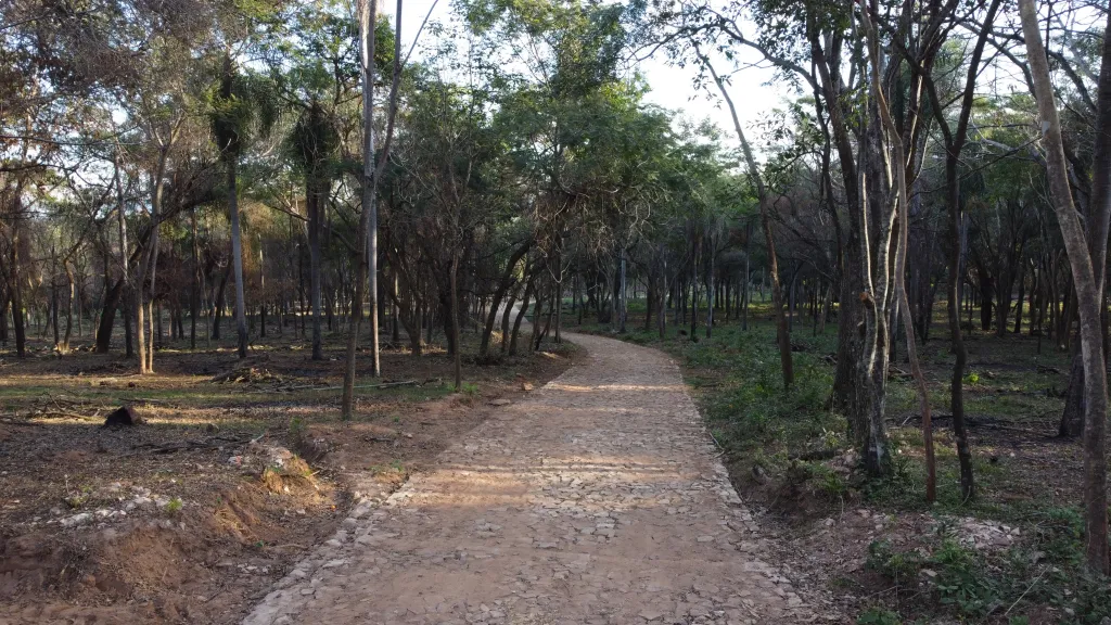 9,2 Hectáreas sobre la ruta Luque Sanber, con vista plena al lago Ypacaraí — foto 3