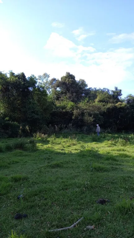 TİTULADO — foto 2