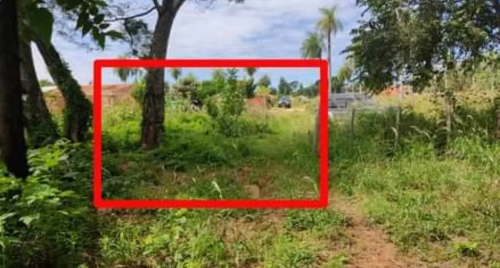 VENDO TERRENO DE 3.500 M2 EN J.A.SALDIVAR KM 24 — foto 2