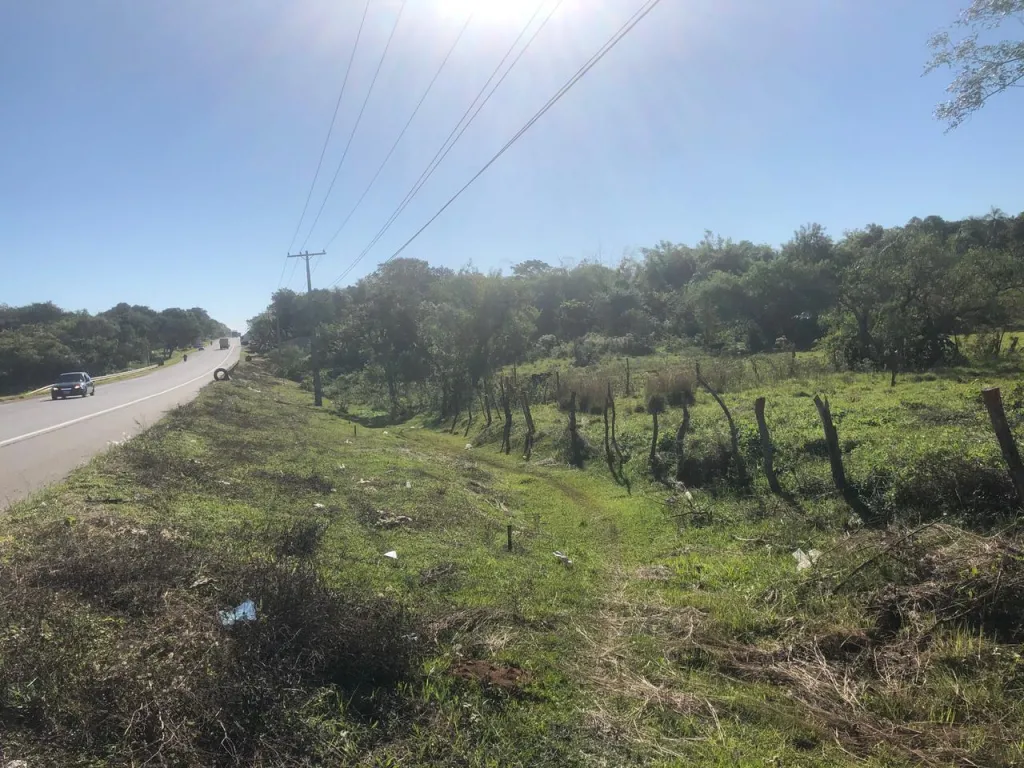 VENDO TERRENO DE 1 HECTAREA EN ITA SOBRE ACCESO SUR — foto 3