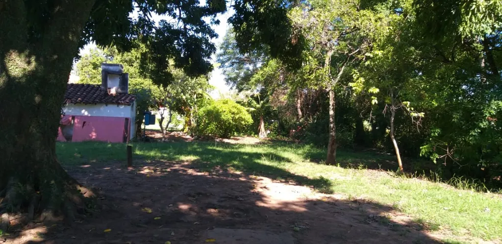 Vendo. — foto 2