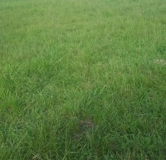 VENDO 2 TERRENOS EN LA CIUDAD DE VILLA HAYES — foto 2