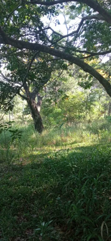 TİTULADO — foto 2