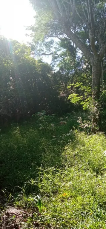 TİTULADO — foto 3