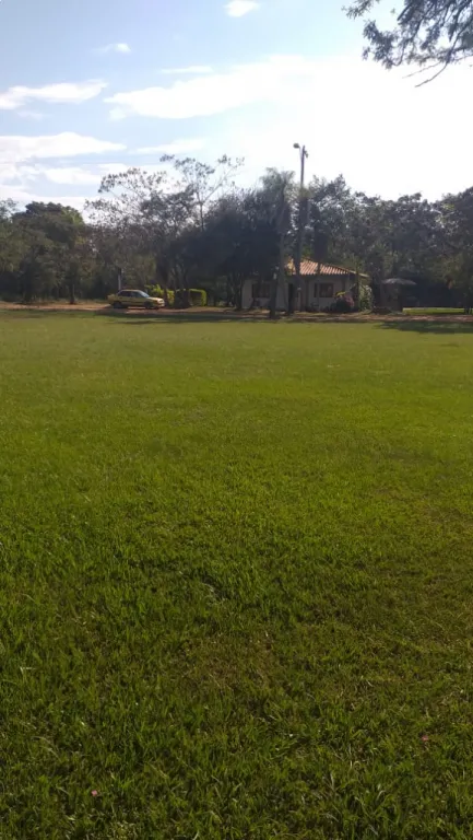 Aun no — foto 2