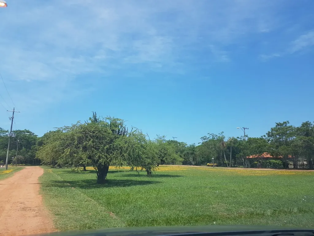 Aun no — foto 3