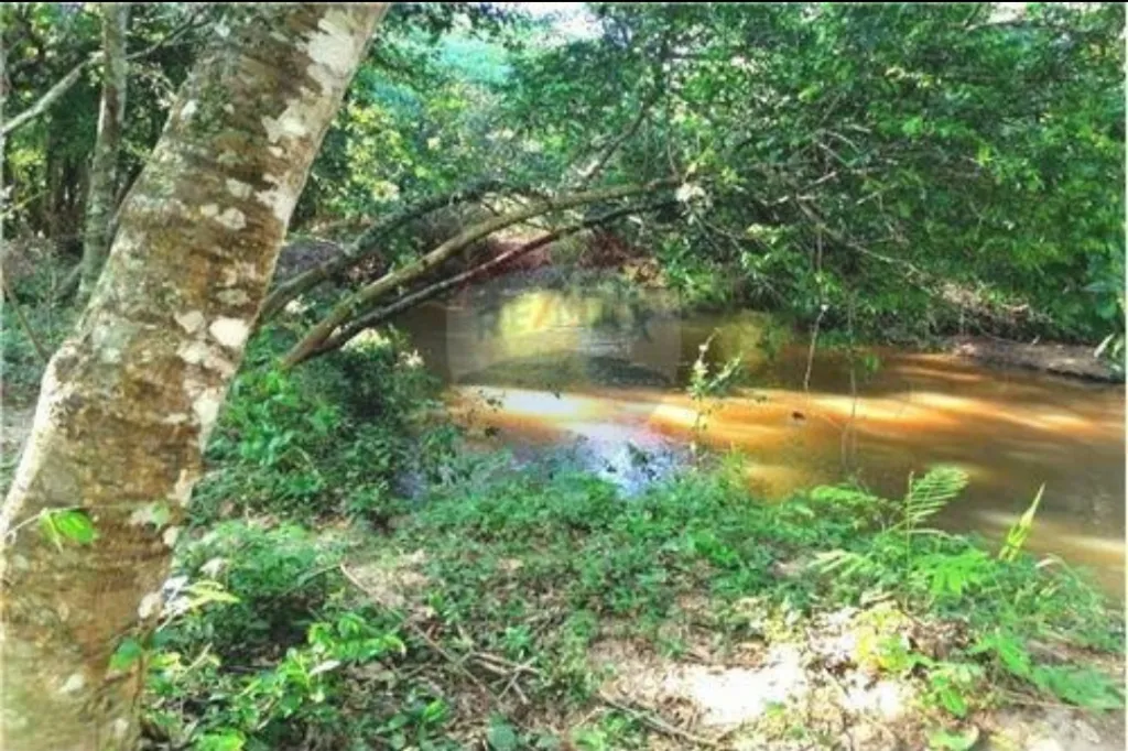 3 terrenos sobre arroyo en Itakurubi😍 — foto 2