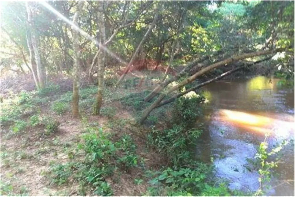 3 terrenos sobre arroyo en Itakurubi😍 — foto 3
