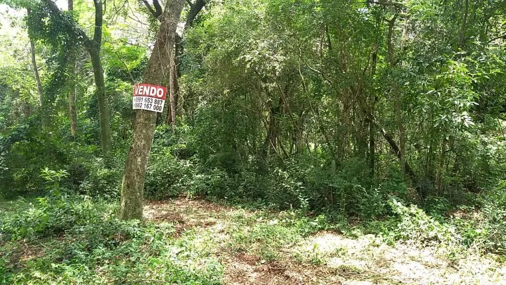 Vendo Terreno en Altos -San Bernardino — foto 2