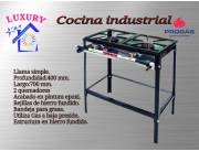 Cocina industrial 2 hornallas