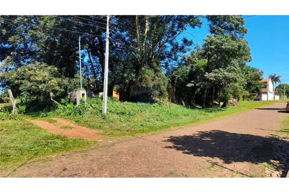 TERRENO EN MBOCAYATY - VILLA ELISA — foto 2