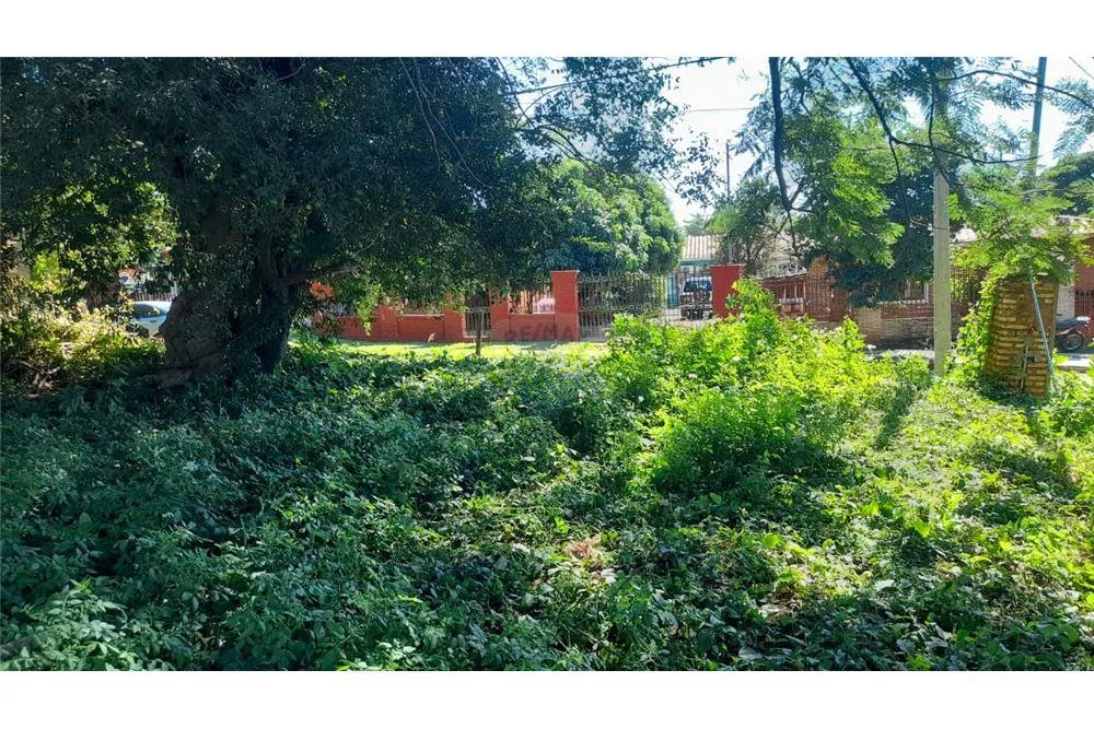 TERRENO EN MBOCAYATY - VILLA ELISA — foto 3