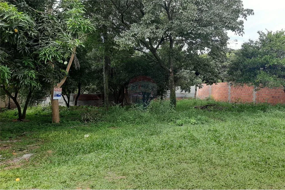TERRENO VILLA BONITA — foto 3