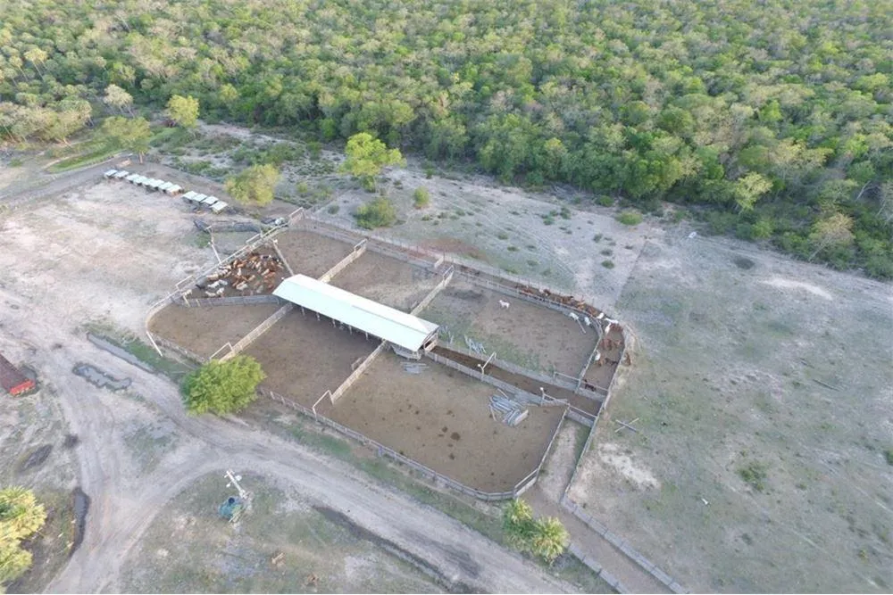 Estancia en funcionamiento - Pozo Colorado 7,000,000 USD — foto 2