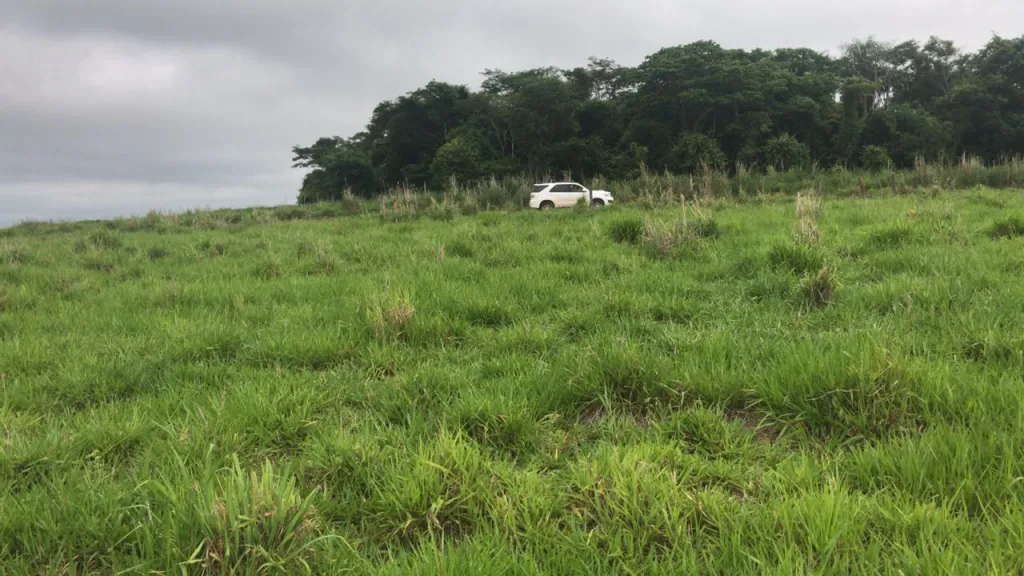 VENDO 8400 HECTÁREAS CON PISTA DE AVIACIÓN — foto 2