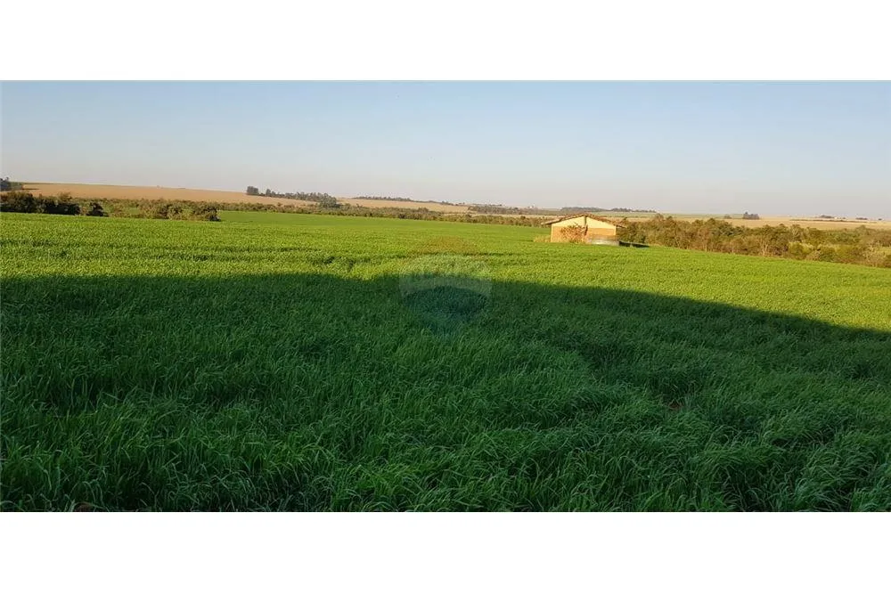 EN VENTA CAMPO AGRICOLA 388HECTAREAS EN SANTA RITA 3,880,000 USD — foto 2
