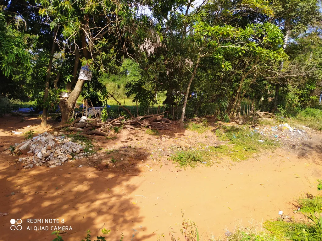 Vendo dos terrenos en Luque — foto 3
