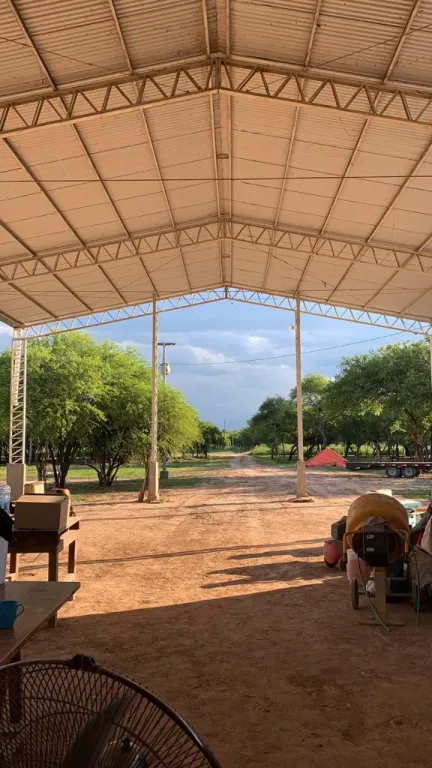 VENDEMOS CAMPO FORMADO EN EL CHACO — foto 3