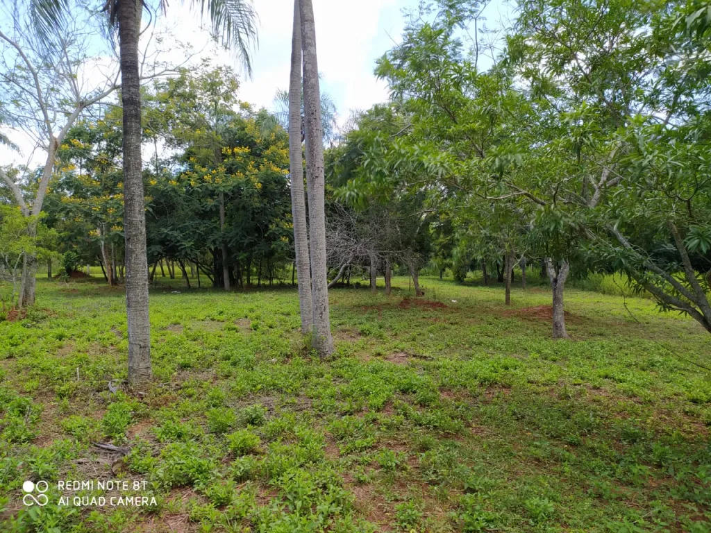 LOTE EN AREGUA — foto 2