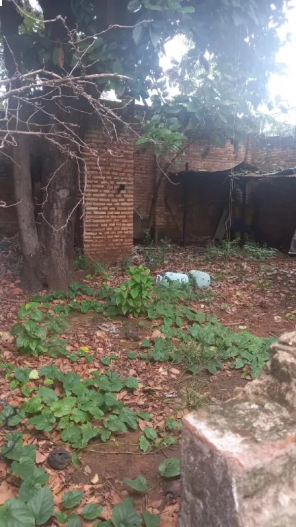 VENDO TERRENO ASUNCION BARRIO JARA COD 3743 — foto 2