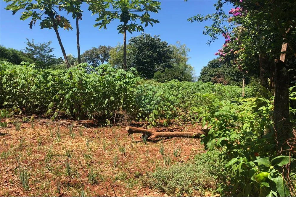 Vendo terreno en el barrio San Antonio Ypekuru: superficie de terreno 360 m2 — foto 2
