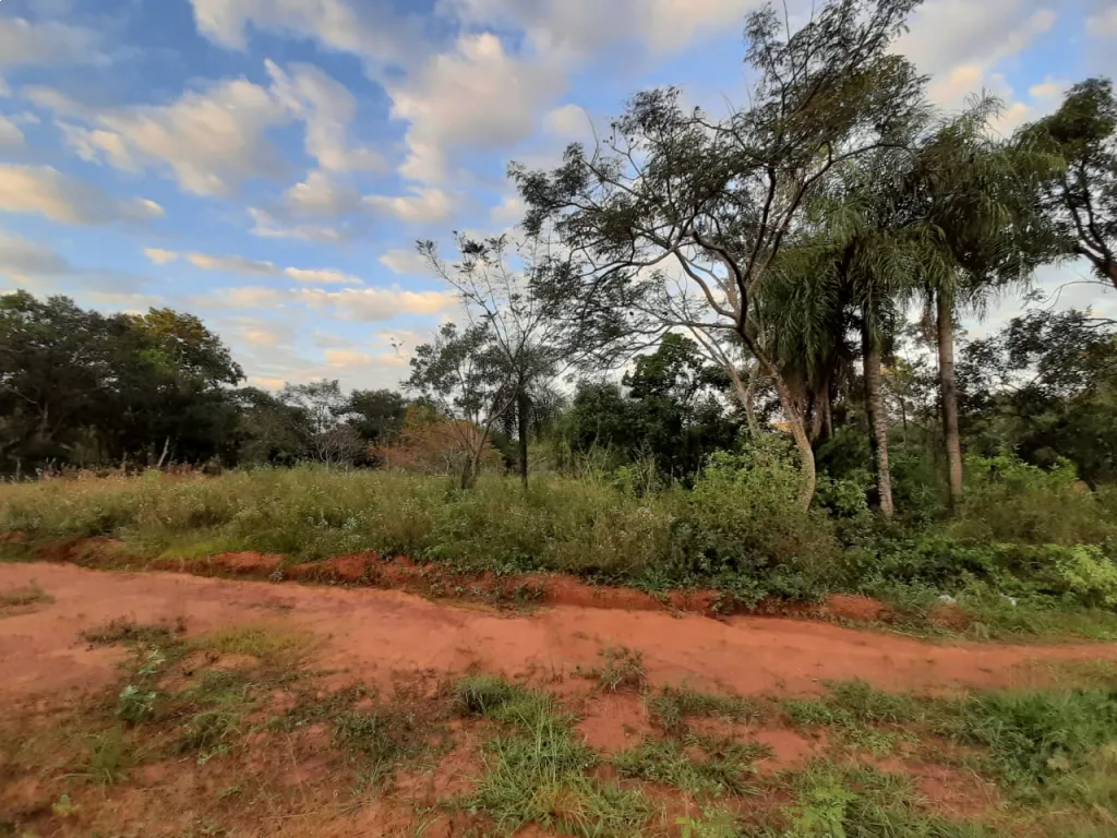 2 terrenos juntos en Luque (720 m2), a 5 cuadras de la ruta Luque - San Bernardino — foto 2