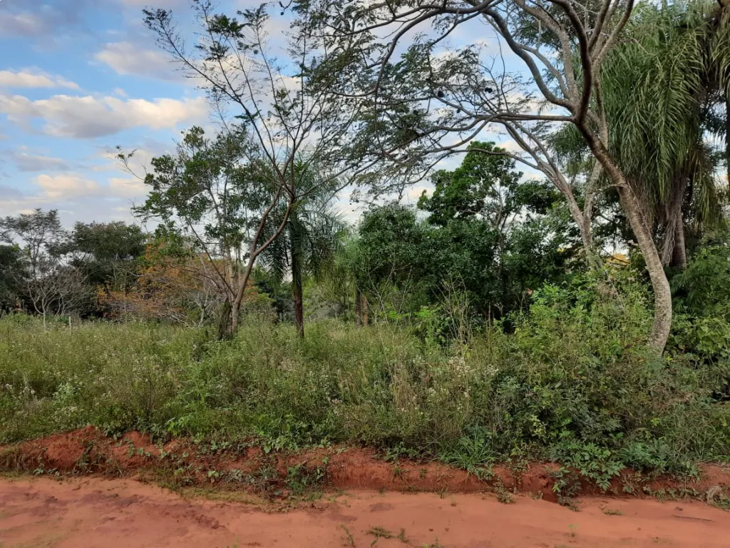 2 terrenos juntos en Luque (720 m2), a 5 cuadras de la ruta Luque - San Bernardino — foto 3