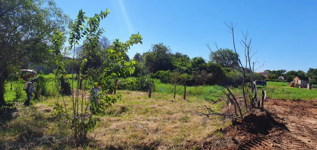 VENDO TERRENO EN SAN LORENZO — foto 3