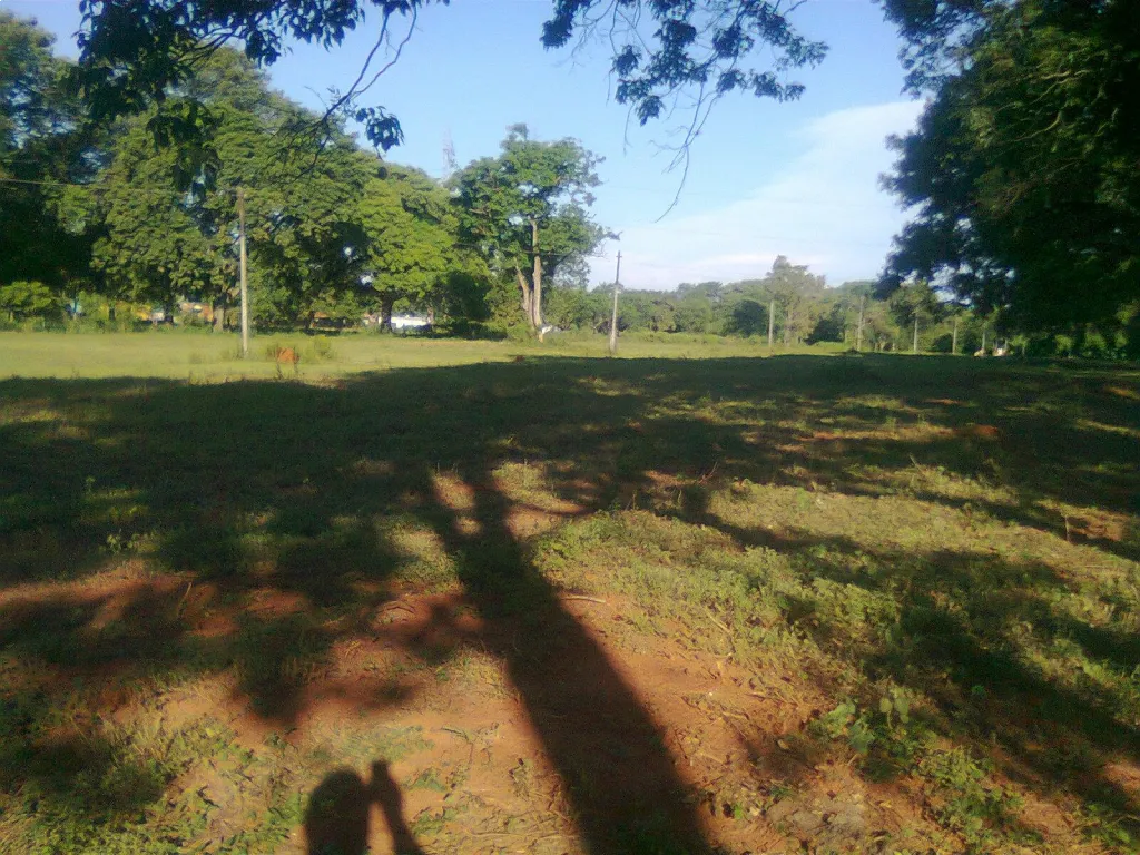 VENDO 4 HECTAREAS EN SAN LORENZO DETRAS DEL SHOPPING SAN LORENZO — foto 3