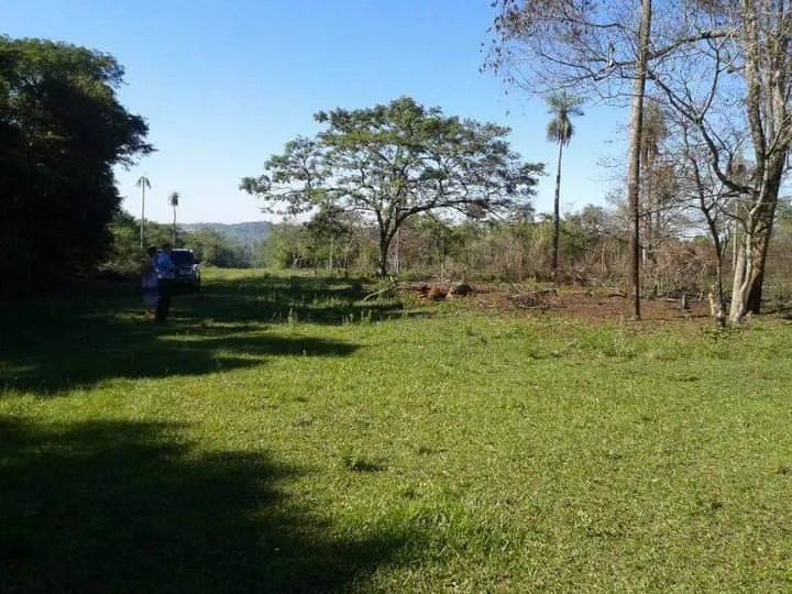 10 terrenos juntos en Escobar distrito de Paraguari — foto 3