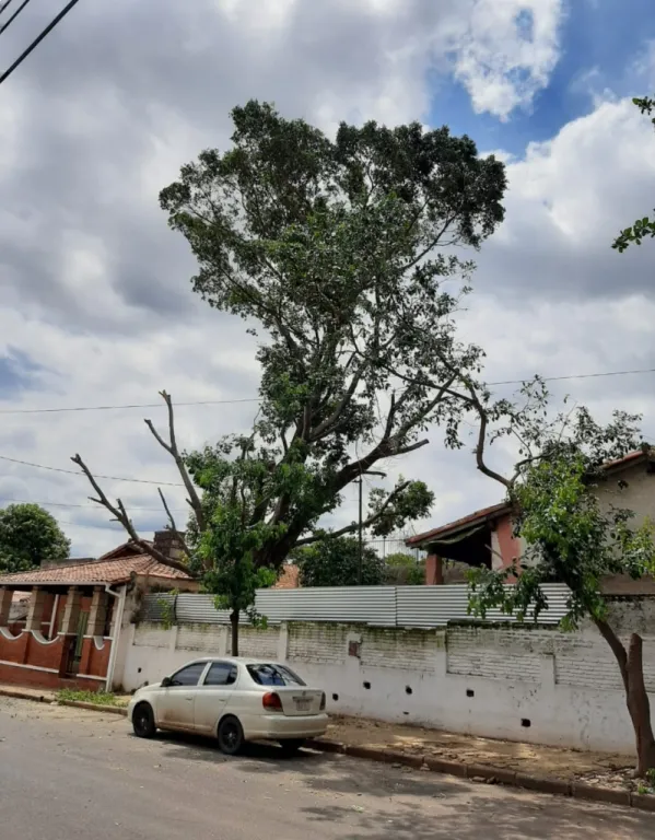 Hermosa Propiedad en Sajonia. A 2 cuad. De CA Lopez, esquina, casa a remodelar — foto 2