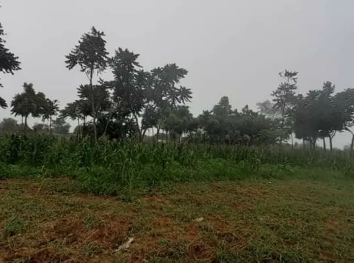 🔈📍Hermoso Terreno con Excelente Ubicación en J.A. Saldivar🔈 — foto 3