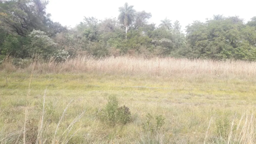 Vendo O permuto terreno en YPACARAI ZONA PABLITO OFERTA! — foto 2