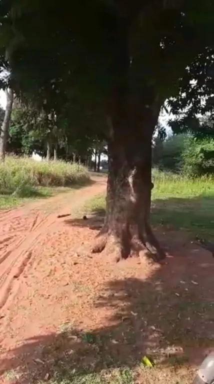 Oferta terreno — foto 3